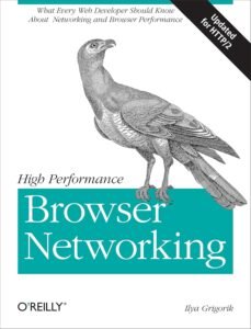 High Performance Browser Networking