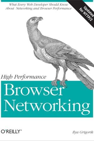 High Performance Browser Networking